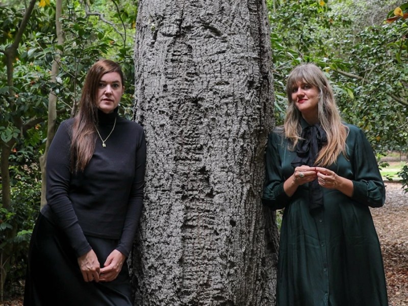 Julianna Barwick, Mary Lattimore – The Four Sleeping&nbsp;Princesses
