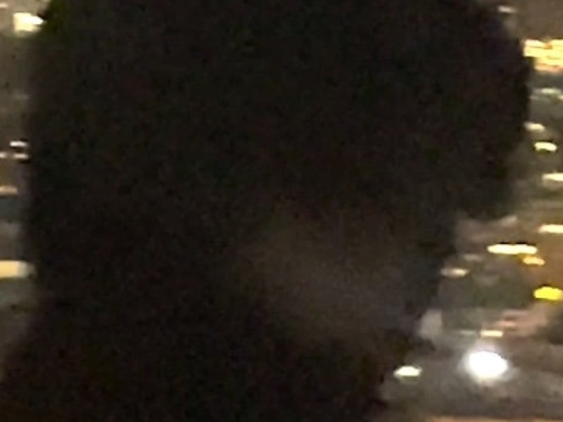 Niko Demus, Merely, MFM –&nbsp;Oscillate